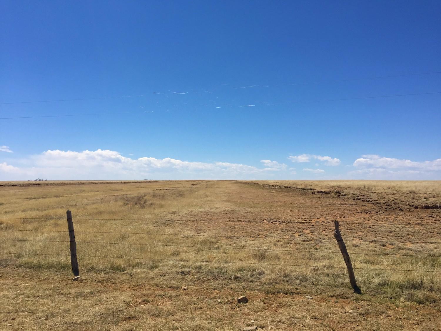 Rutted vestige from the past/Barbara Jensen Rutted vestige from the past/Barbara Jensen