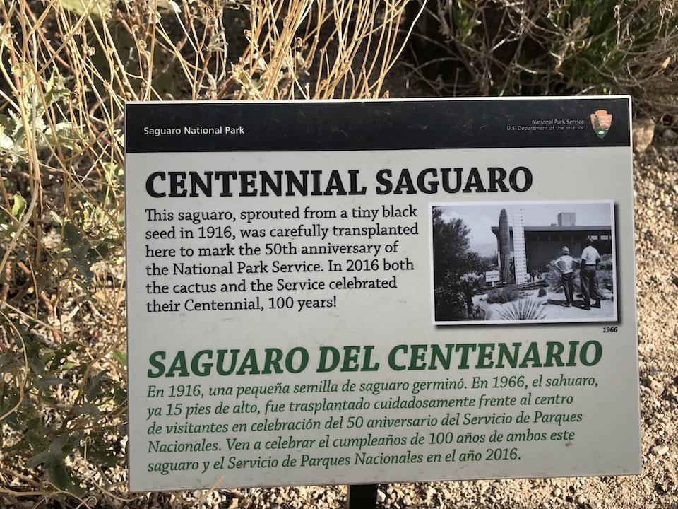 Centennial saguaro sign, Ethobotany Garden, Saguaro National Park/Kurt Repanshek