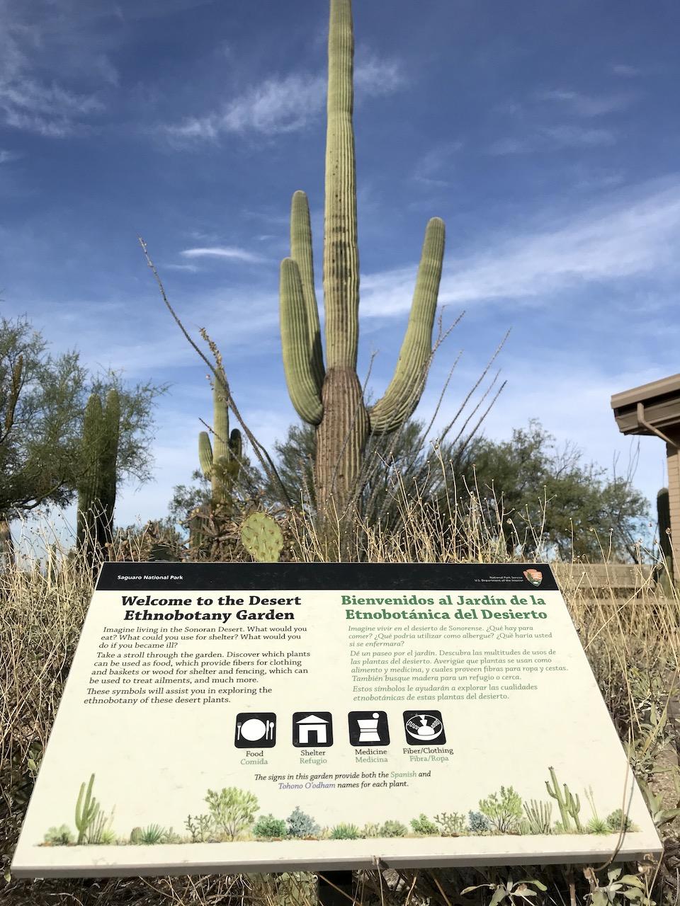 Trailhead to Ethnobotany Garden at Saguaro National Park/Kurt Repanshek