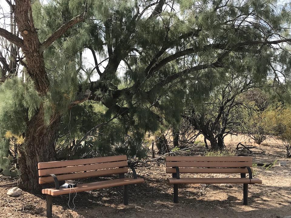 Two benches and a spreading tree welcome you to the landscape and invite you to sit awhile/Kurt Repanshek