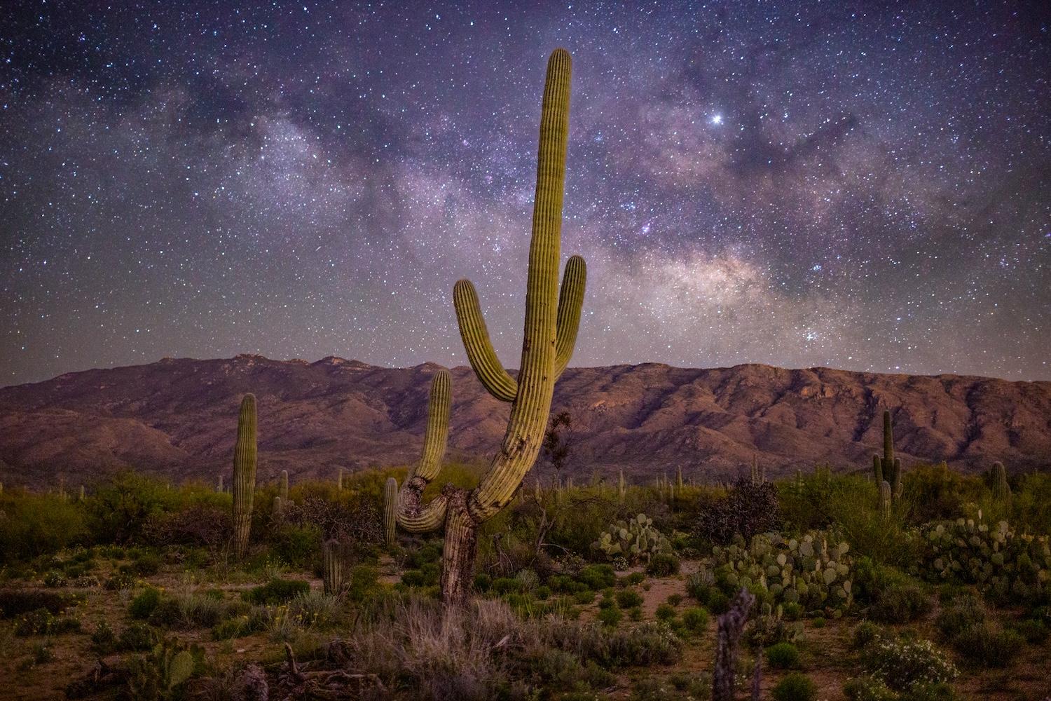 The night sky dazzles in Saguaro National Park in Tucson, Arizona. It has been certified as an Urban Night Sky Place.