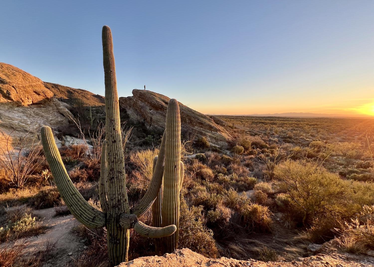 A man stands on the Javelina Rocks at sunset in Saguaro National Park.