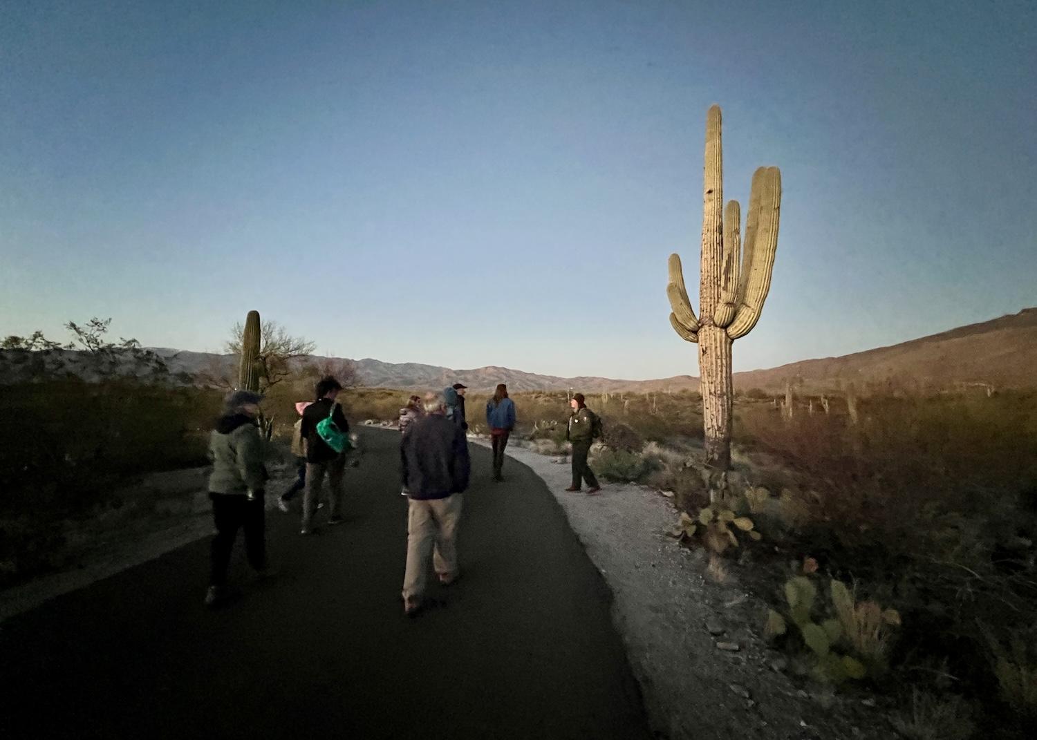 At dusk, Next Generation Ranger Malana Starr leads Saguaro National Park guests on a walk down Cactus Forest Drive.
