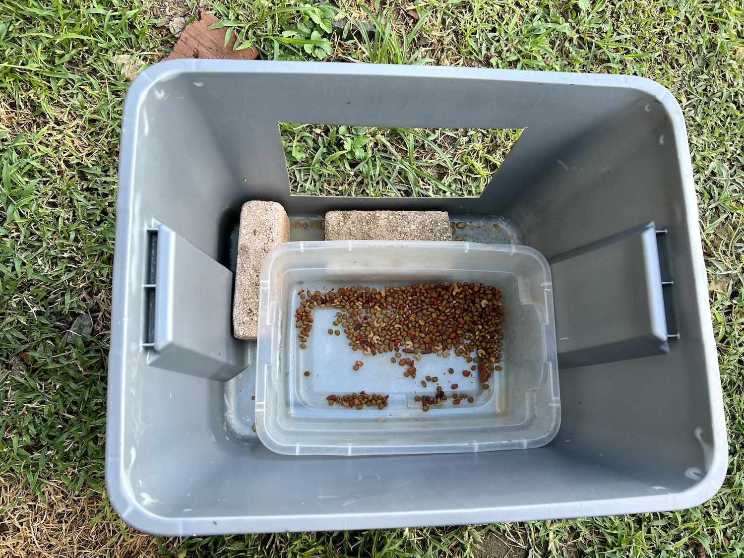 Cat food is put in a tub inside another tub and surrounded by water to keep the cockroaches and ants at bay.