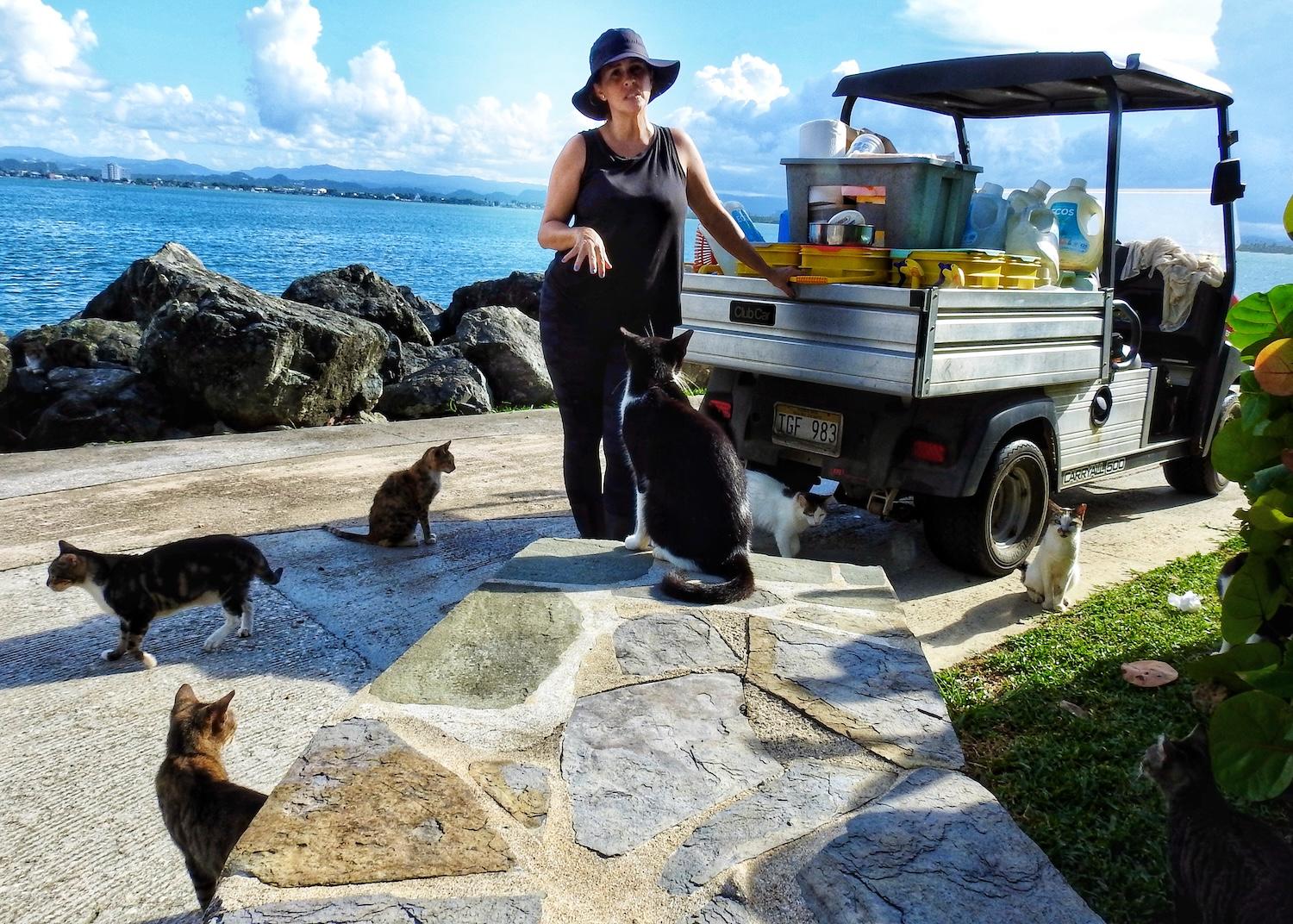 Save A Gato volunteer Karla Colom delivers food and water to the cats that live in colonies along the Paseo del Morro in San Juan National Historic Site.