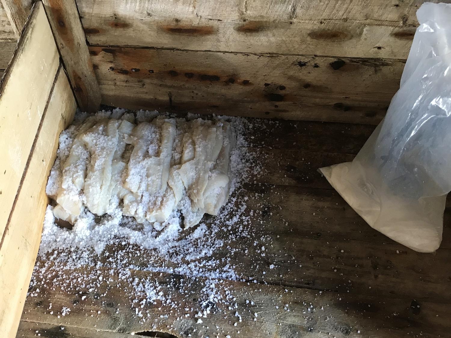 Ryan Premises can't bring in actual cod and show how to salt and preserve it, so this photo was taken at a private fishing stage on Fogo Island.