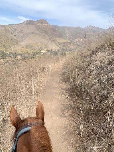 Rangers at Santa Monica Mountains NRA will patrol on bikes and horses to educate trail users on etiquette/NPS