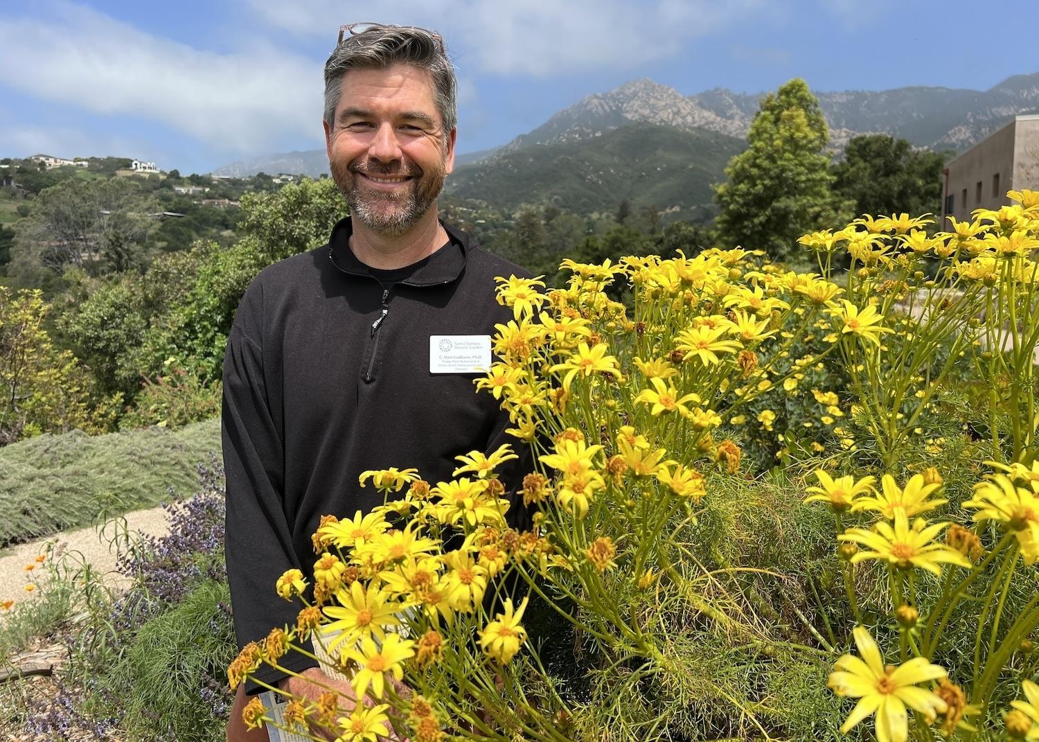 At the Santa Barbara Botanic Garden, botanist/plant systematist Matt Guilliams shows off Giant coreopsis, a popular site on the Channel Islands.