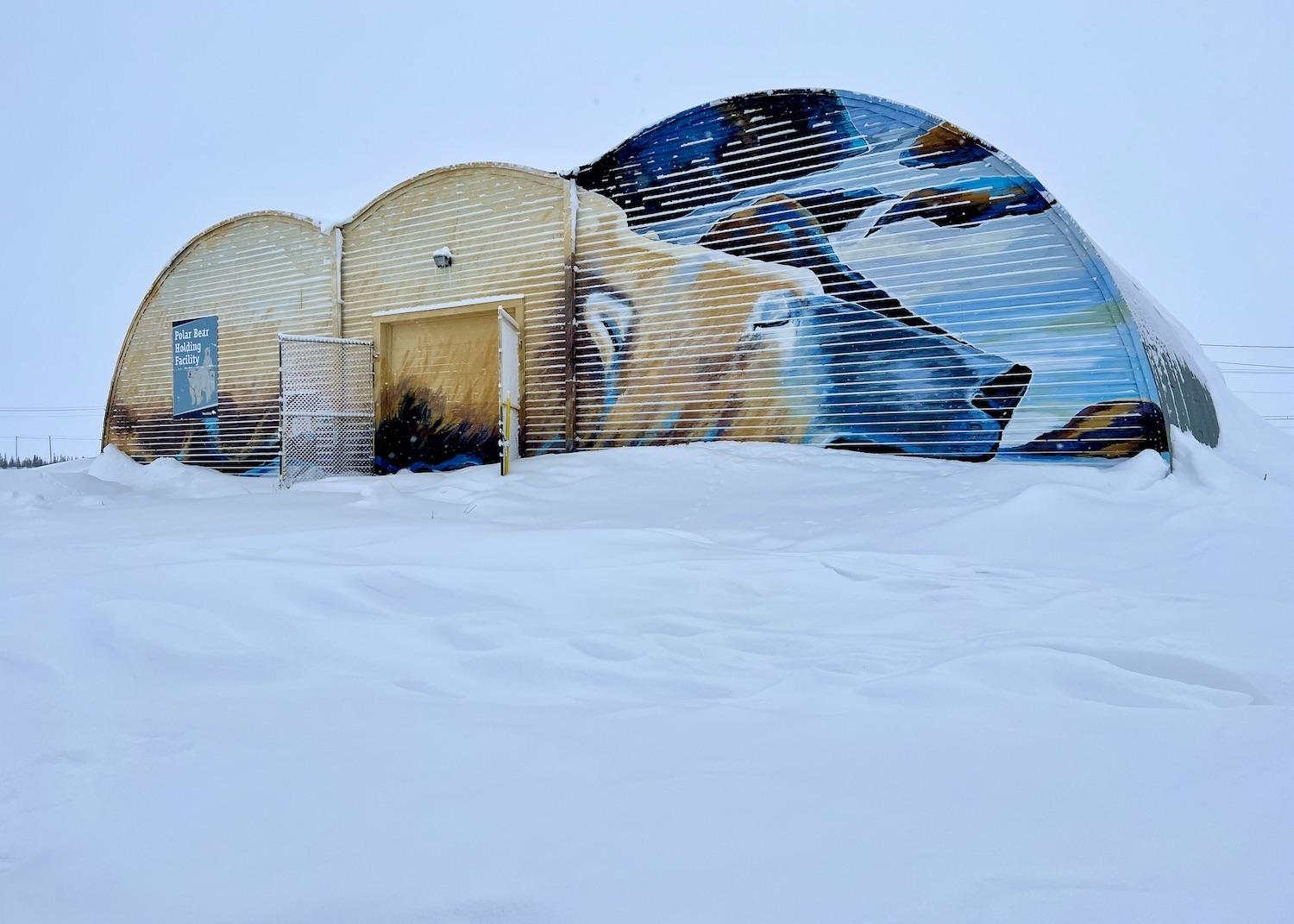The Polar Bear Holding Facility ("polar bear jail") in Churchill lends itself to Kal Barteski's mural as part of SeaWalls Churchill.
