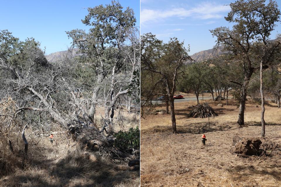 A before and after look at the effectiveness of mechanical treatments and defensible space. Notice the fire hydrant in both pictures. NPS / RPaterson