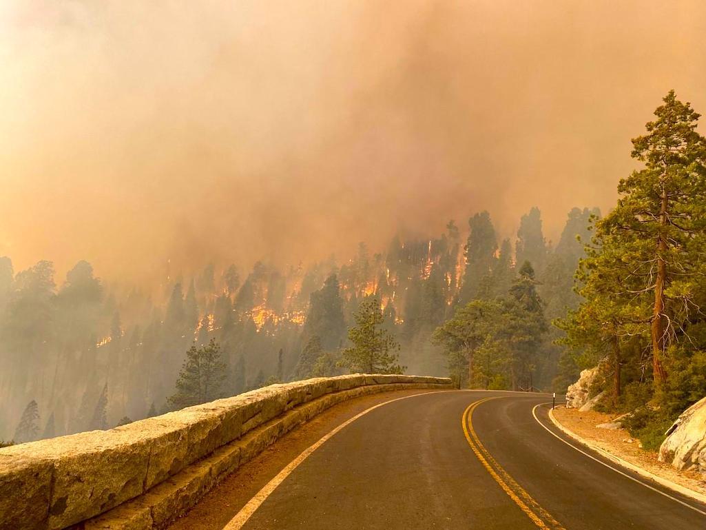 Fire Threatened Sequoia National Park's Iconic Trees