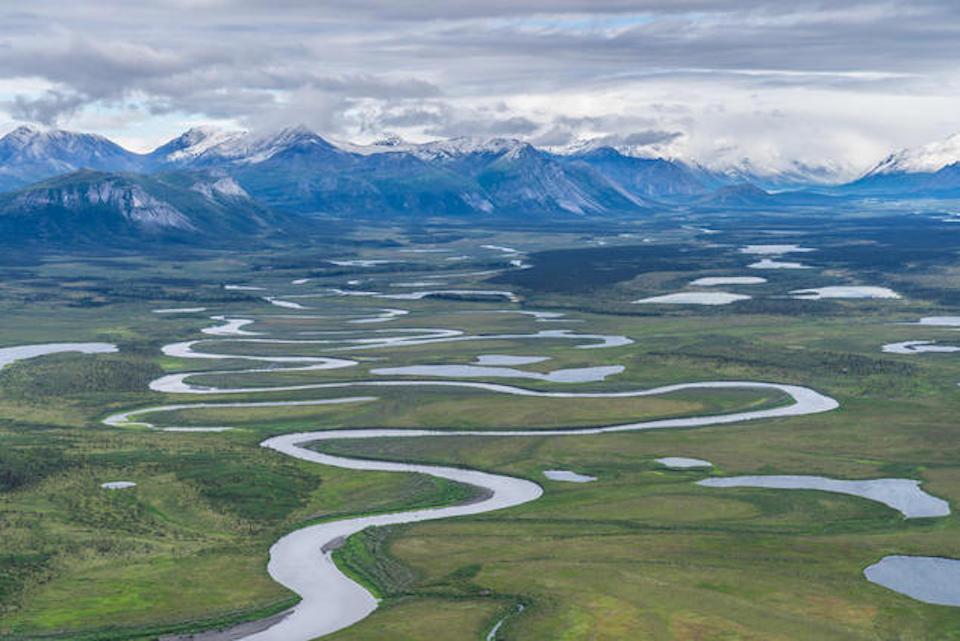 The Trump administration announced Monday that it would soon begin issuing oil leases in the Arctic National Wildlife Refuge/Alaska Conservation Federation The Trump administration announced Monday that it would soon begin issuing oil leases in the Arctic National Wildlife Refuge/Alaska Conservation Federation
