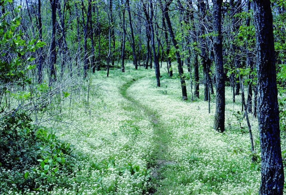 The U.S. Supreme Court says the Forest Service can grant a right-of-way for a gas pipeline across the Appalachian Trail/NPS file