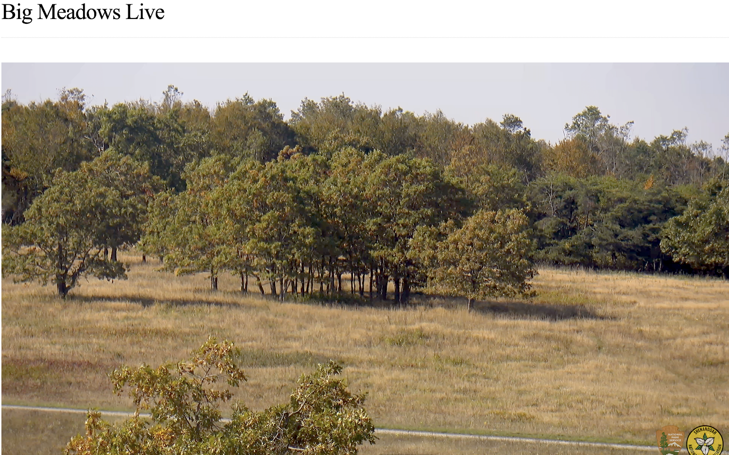 The view Tuesday, October 3, from the Big Meadows webcam/NPS, Shenandoah National Park Association
