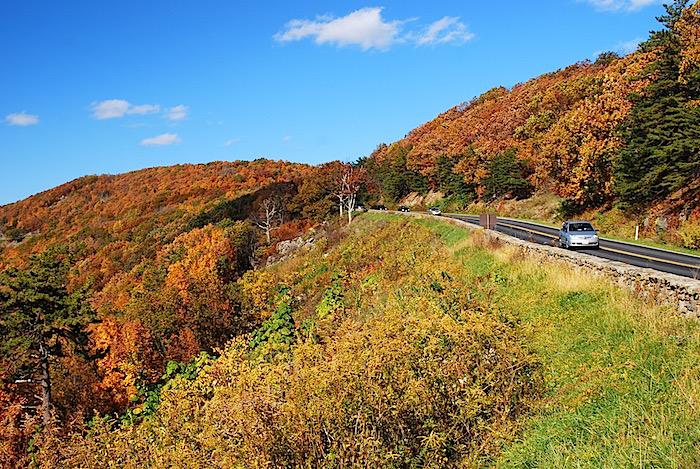 Fall colors along Skyline Drive in Shenandoah National Park/Kurt Repanshek