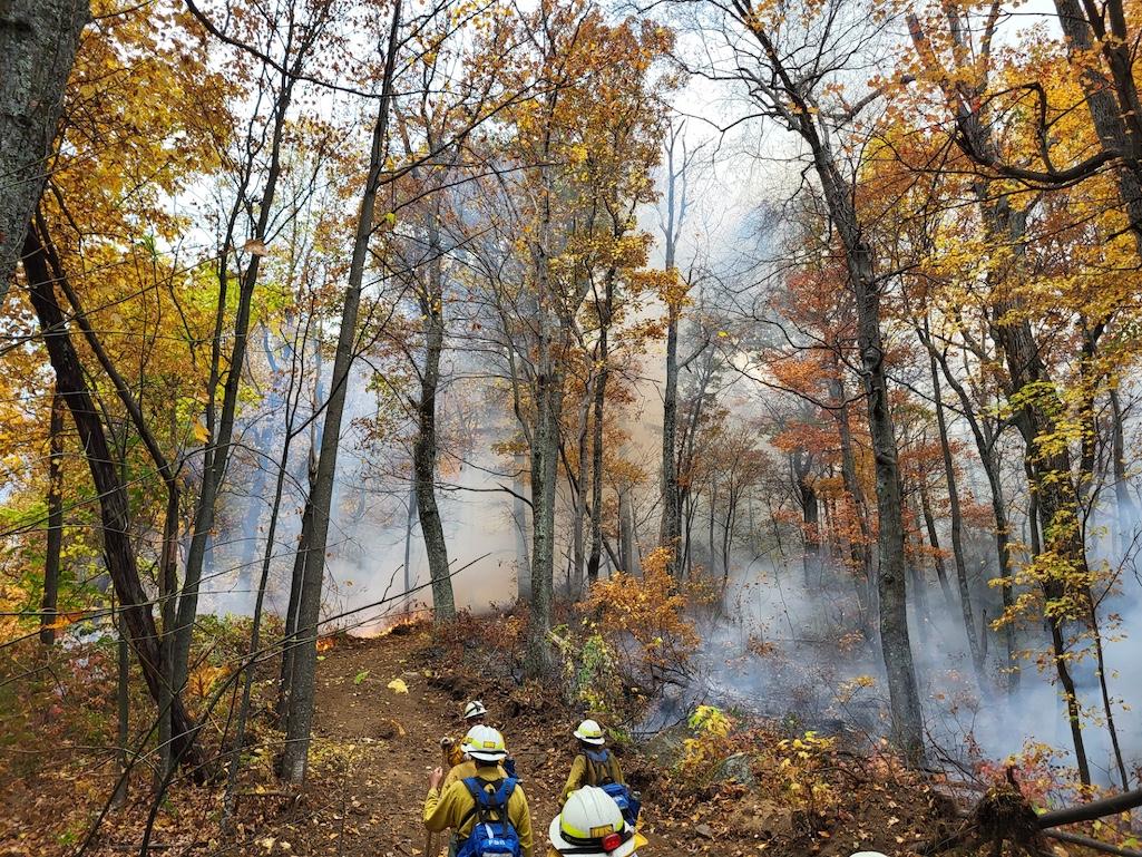 Firefighters walking the dozer line used to contain the fire Virginia Department of Forestry