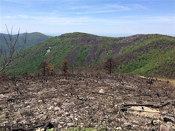 Brown Mountain from Brown Mountain Overlook. Shenandoah National Park 5-25-16