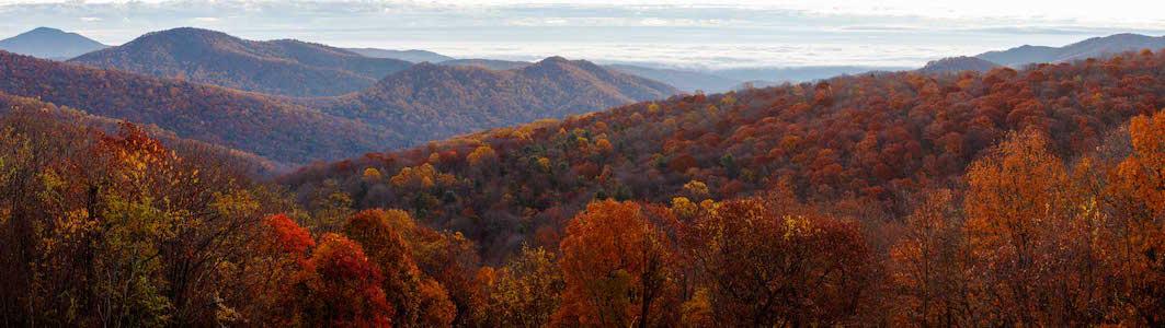 Thornton Hollow, Shenandoah National Park/NPS Thornton Hollow, Shenandoah National Park/NPS