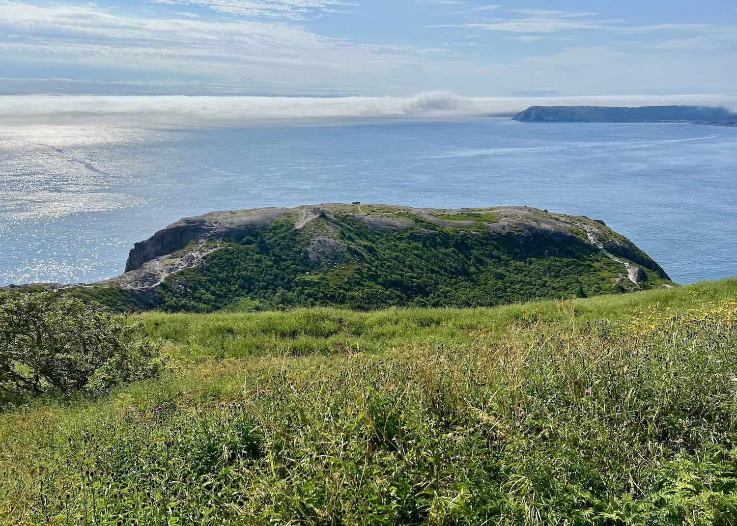 A view of the North Atlantic Ocean in August from Signal Hill's North Head Trail.