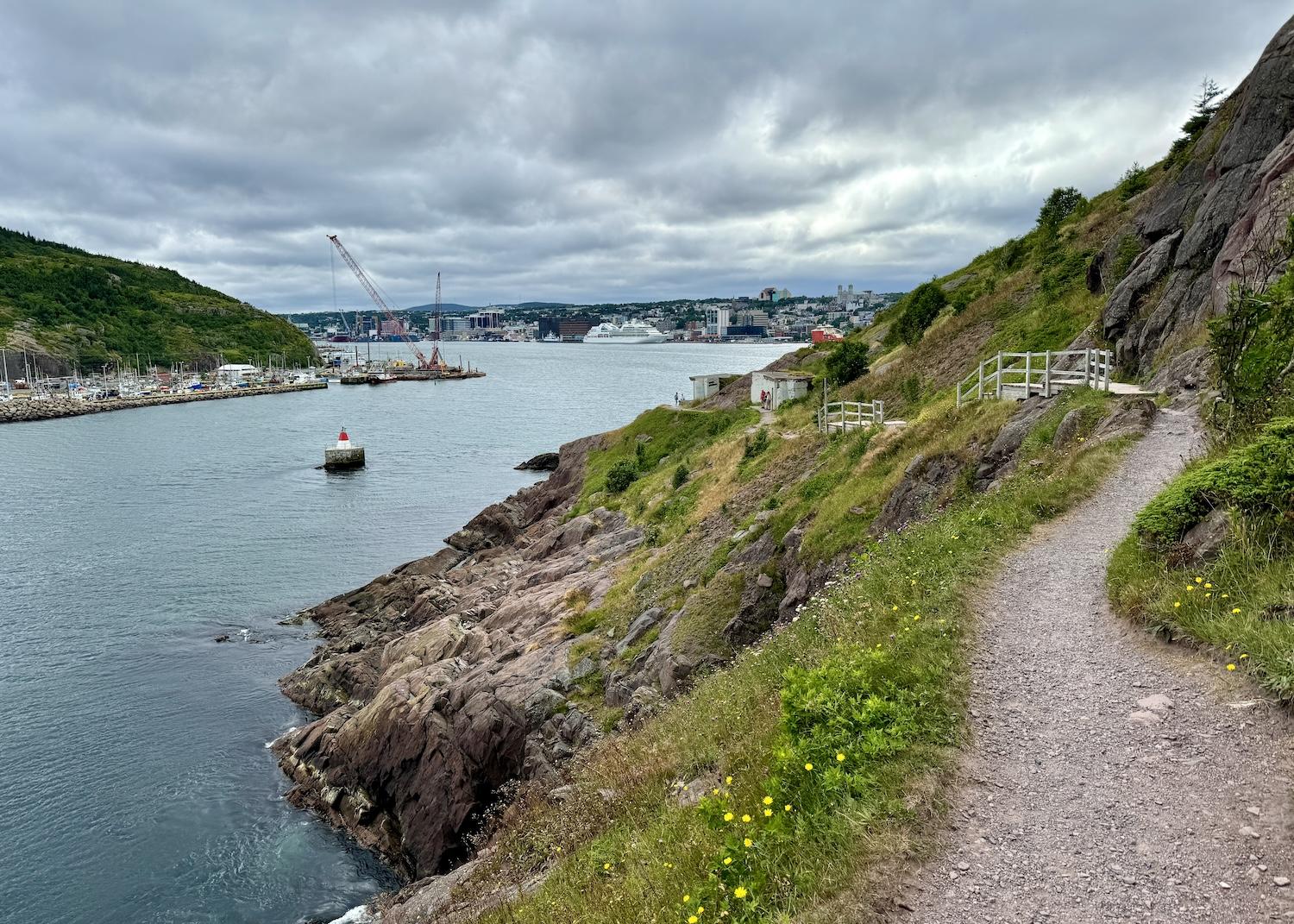 From North Head Trail, a view into St. John's Harbour to a cruise ship and downtown.