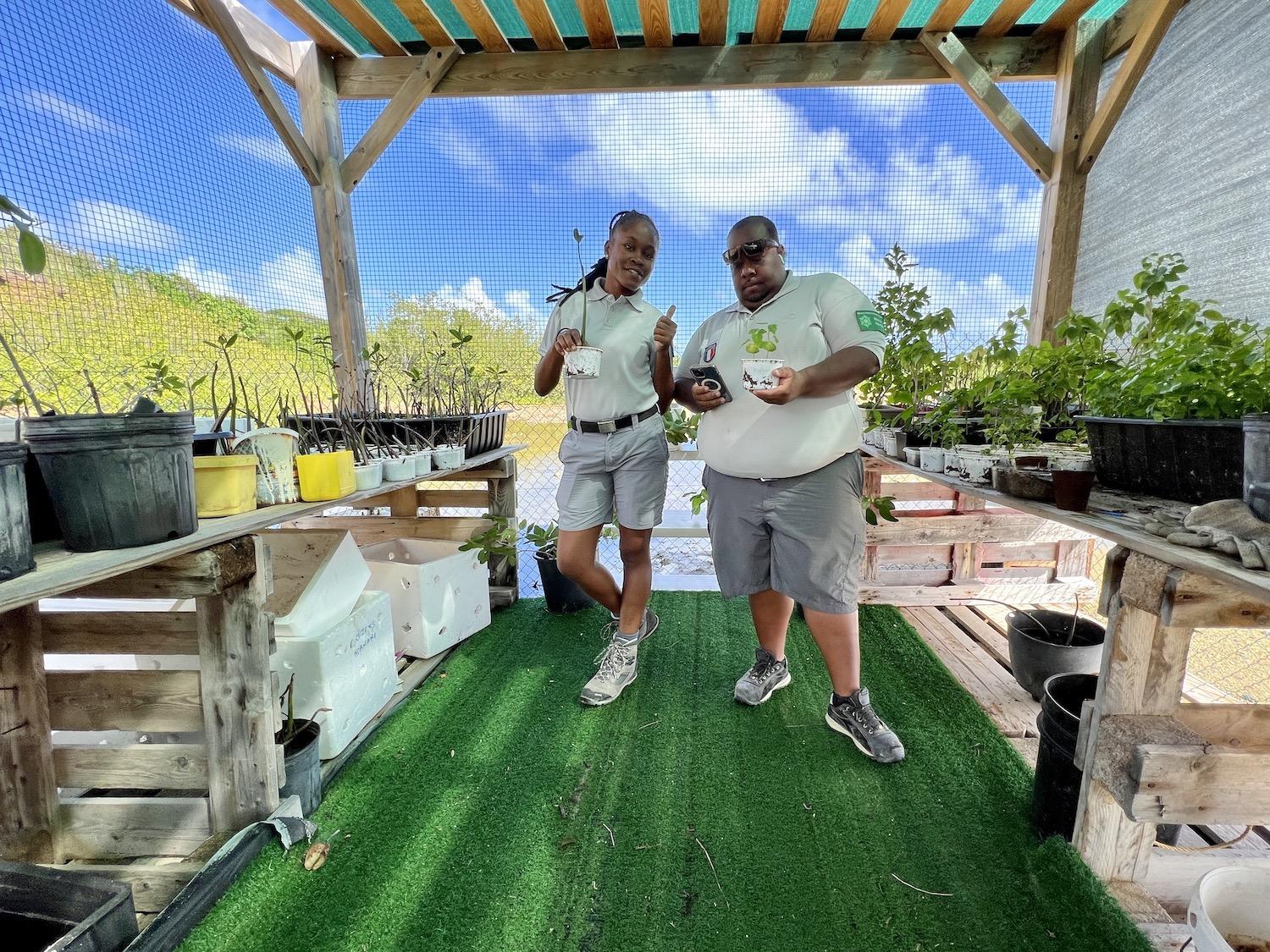 Ashley Daniel and Chris Joé show off the St. Martin Nature Reserve's mangrove nursery.