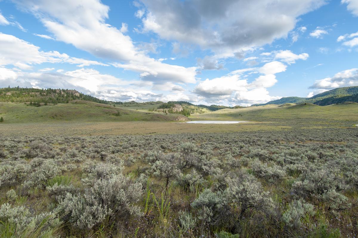The working boundary of the proposed park reserve encompasses more than 270 square kilometres (27,300 hectares or 67,500 acres) of natural and cultural landscapes in southern British Columbia.