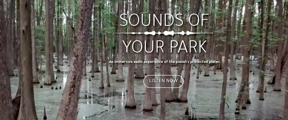 Listen to nature at the Sounds of Nature website.