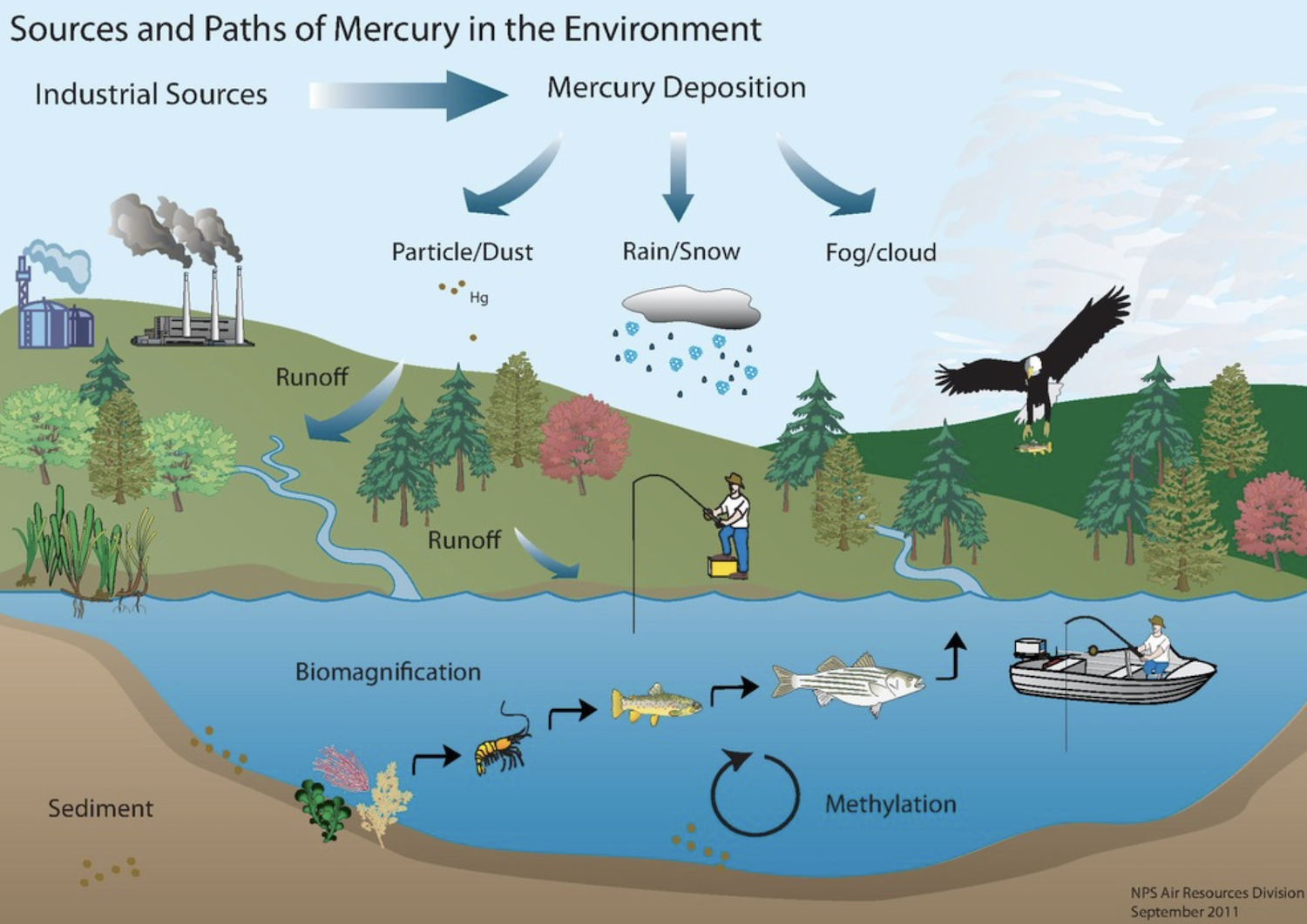 Sources and Paths of Mercury in the Environment, from National Park Service.