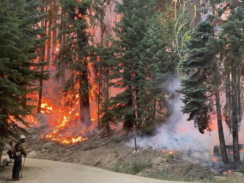 The SQF Fire Saturday morning/USFS