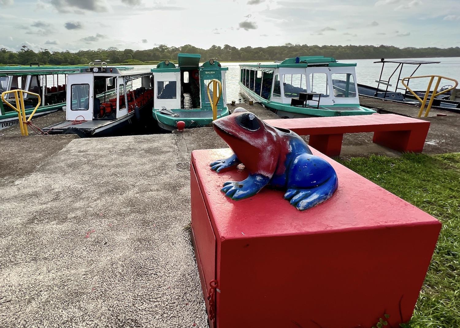 A poison dart frog statue in the village of Tortuguero, where river boats stand ready for visitors.