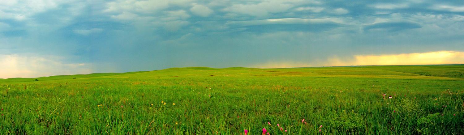 Only about 4 percent of the 170 million acres of tallgrass prairie that swept across North America remain, and you can find some at Tallgrass Prairie National Preserve/NPs file