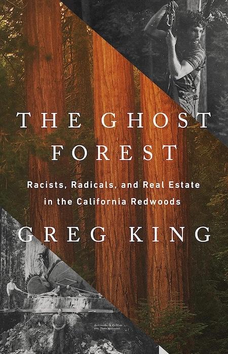 The Ghost Forest