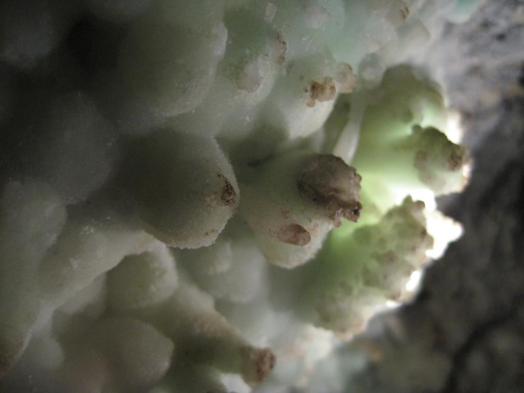 Aragonite crystals colored green by nickel, Timpanogos Cave National Monument / National Park Service