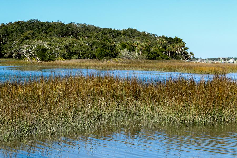 The marsh at Timucuan Ecological and Historic Preserve timucuan ecological and historic preserve, nature, marsh, florida