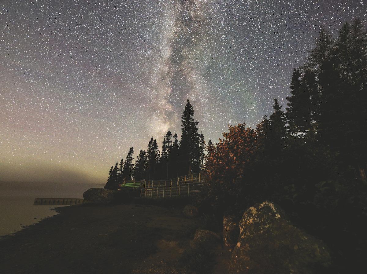 A starry night in Terra Nova National Park.