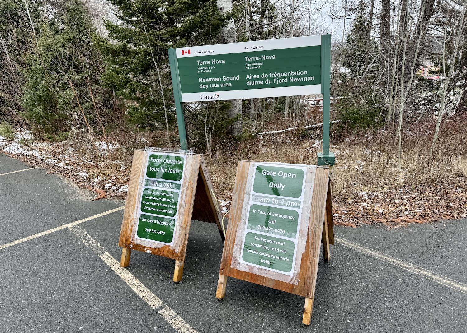 From Dec. 21 to 31, Terra Nova National Park opened the road to the Newman Sound Day-Use Area so birders could hunt for a rare Steller's Sea-Eagle.