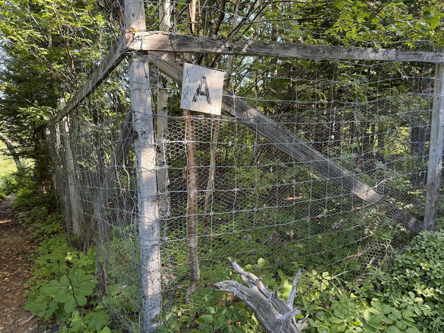 This moose exclosure can be found at Terra Nova's Forest Demonstration Plot.