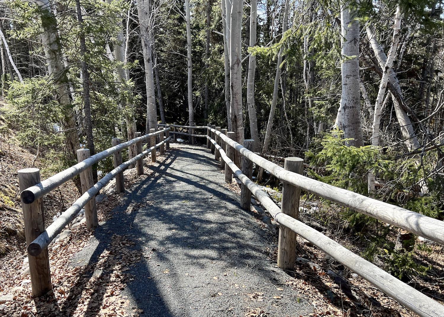 The Salmon River Walking Trail is wheelchair accessible and has gentle slopes.