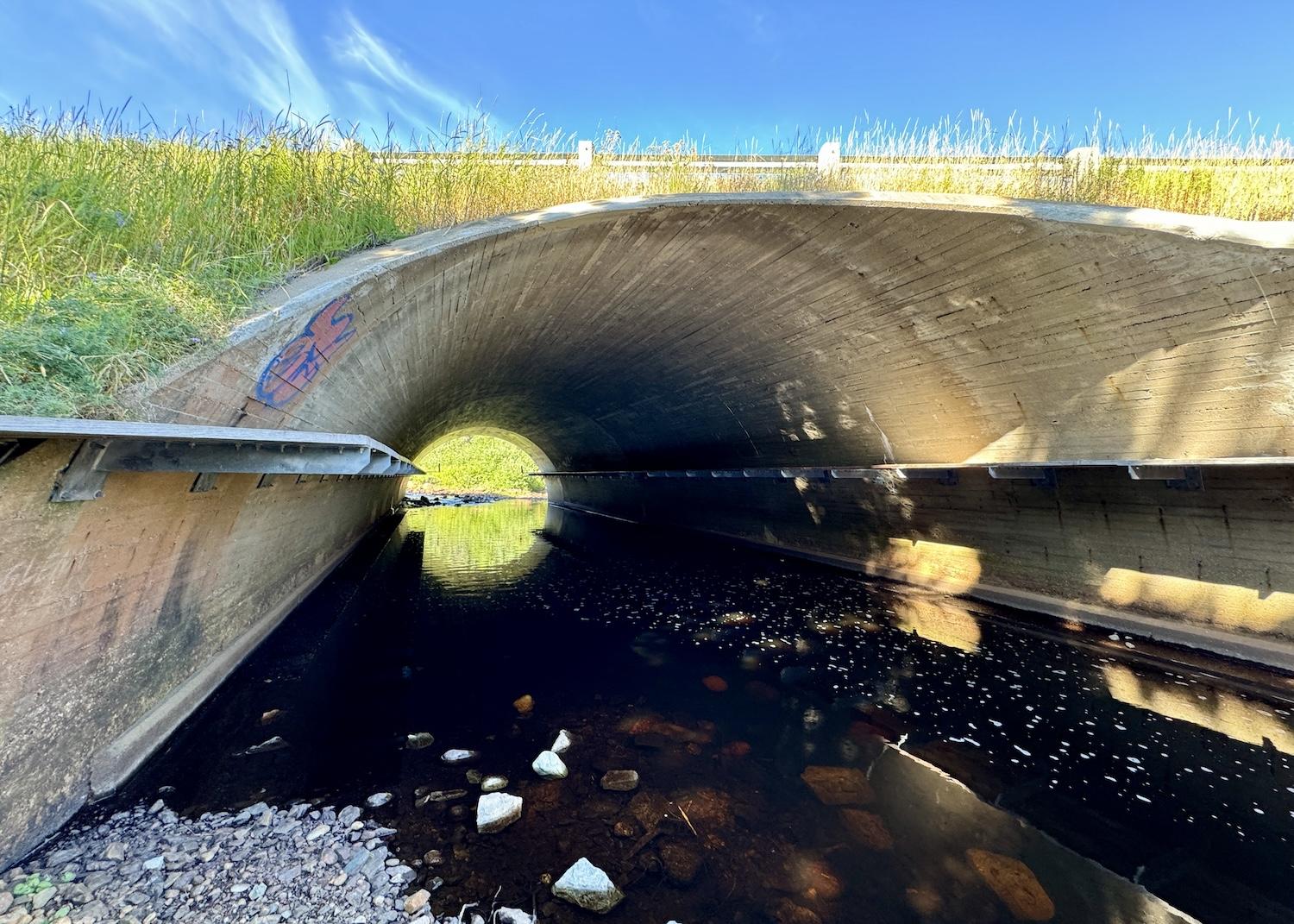 The wildlife underpass at Terra Nova's Southwest Brook day-use area.