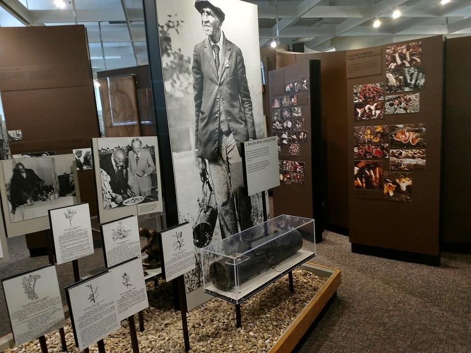 tuskegee institute national historic site, alabama, george washington carver, museum, national park
