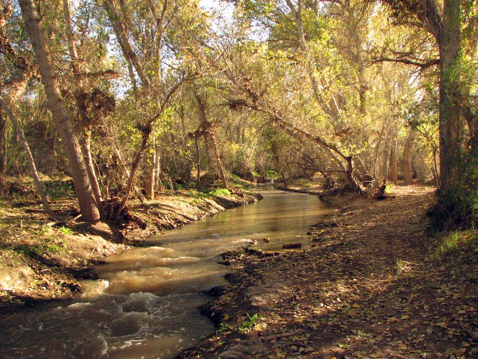 A section of the trail along the Santa Cruz River at Tumacácori National Historical Park