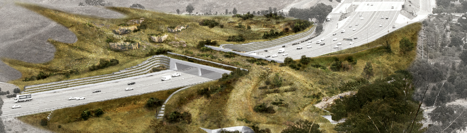 An artist's rendering of the U.S. 101 wildlife crossing being built in California/National Wildlife Federation