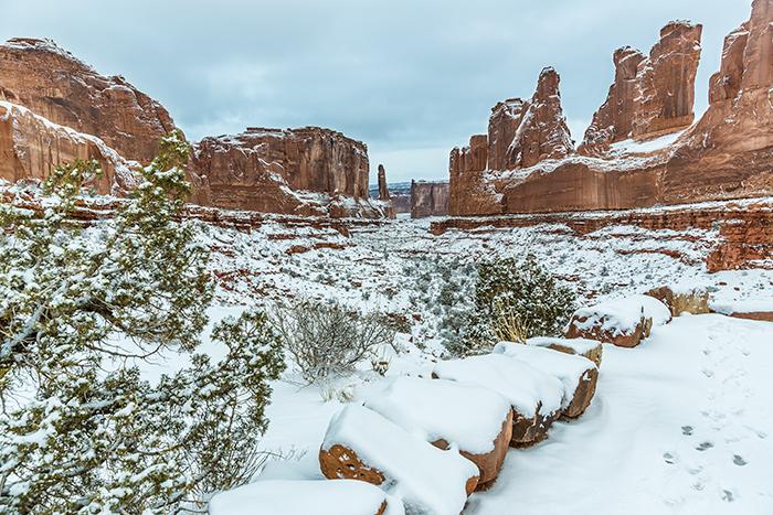 Snow Day at Park Avenue