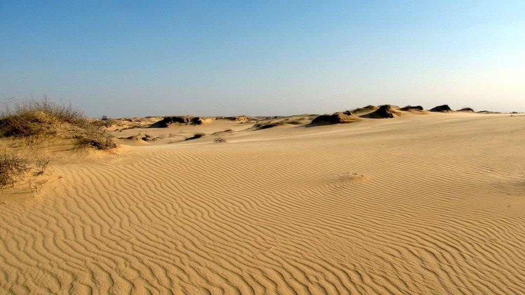 Oleshky Sands is one of Ukraine's 49 National Nature Parks/НПП "Олешківські піски"
