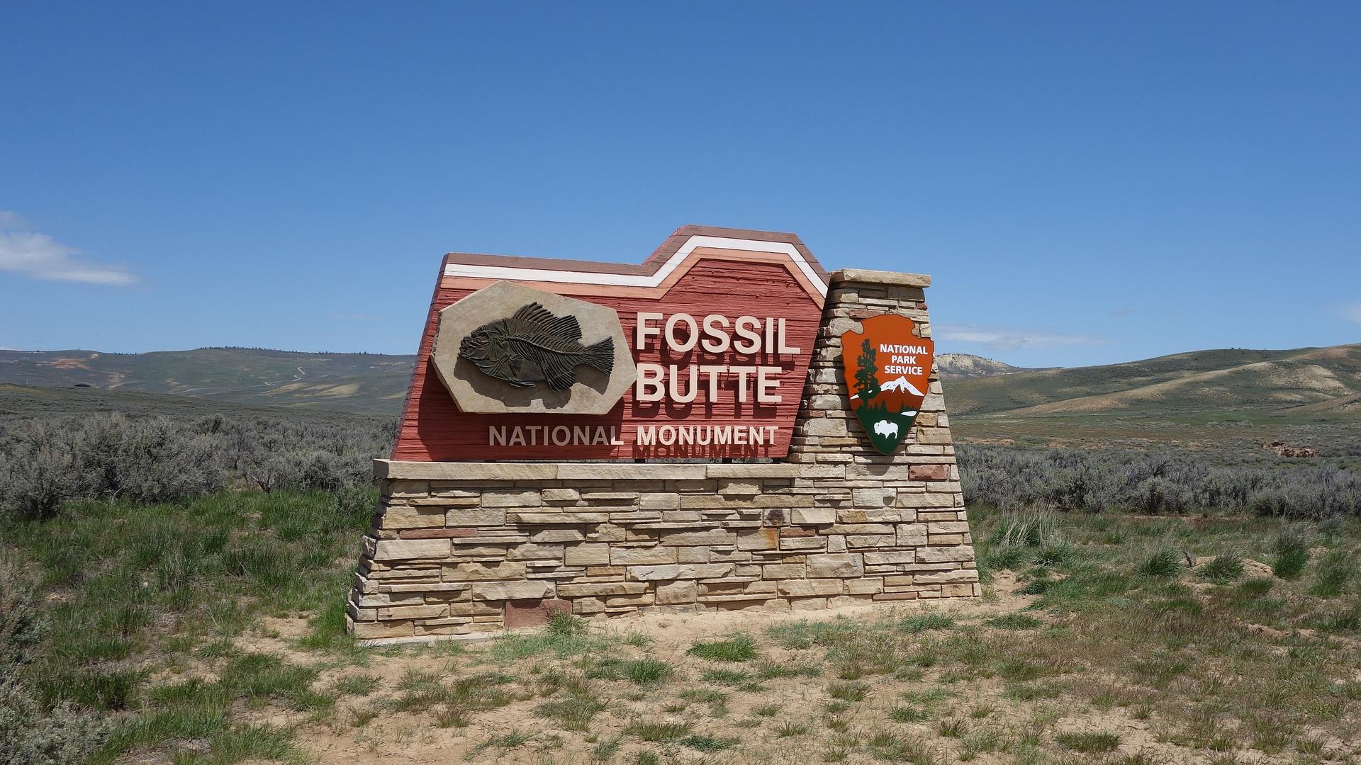 fossil butte, wyoming, national monument