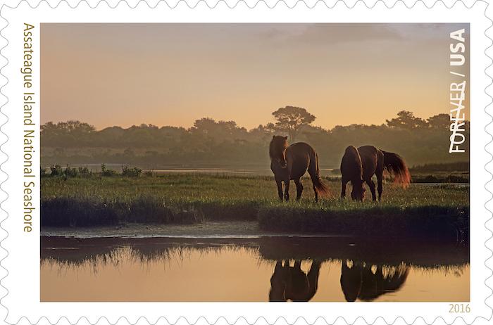 Assateague Island National Seashore stamp/USPS