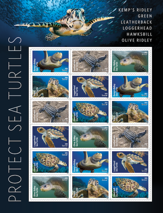 Protect Sea Turtles Forever Stamps Issued By U.S. Postal Service