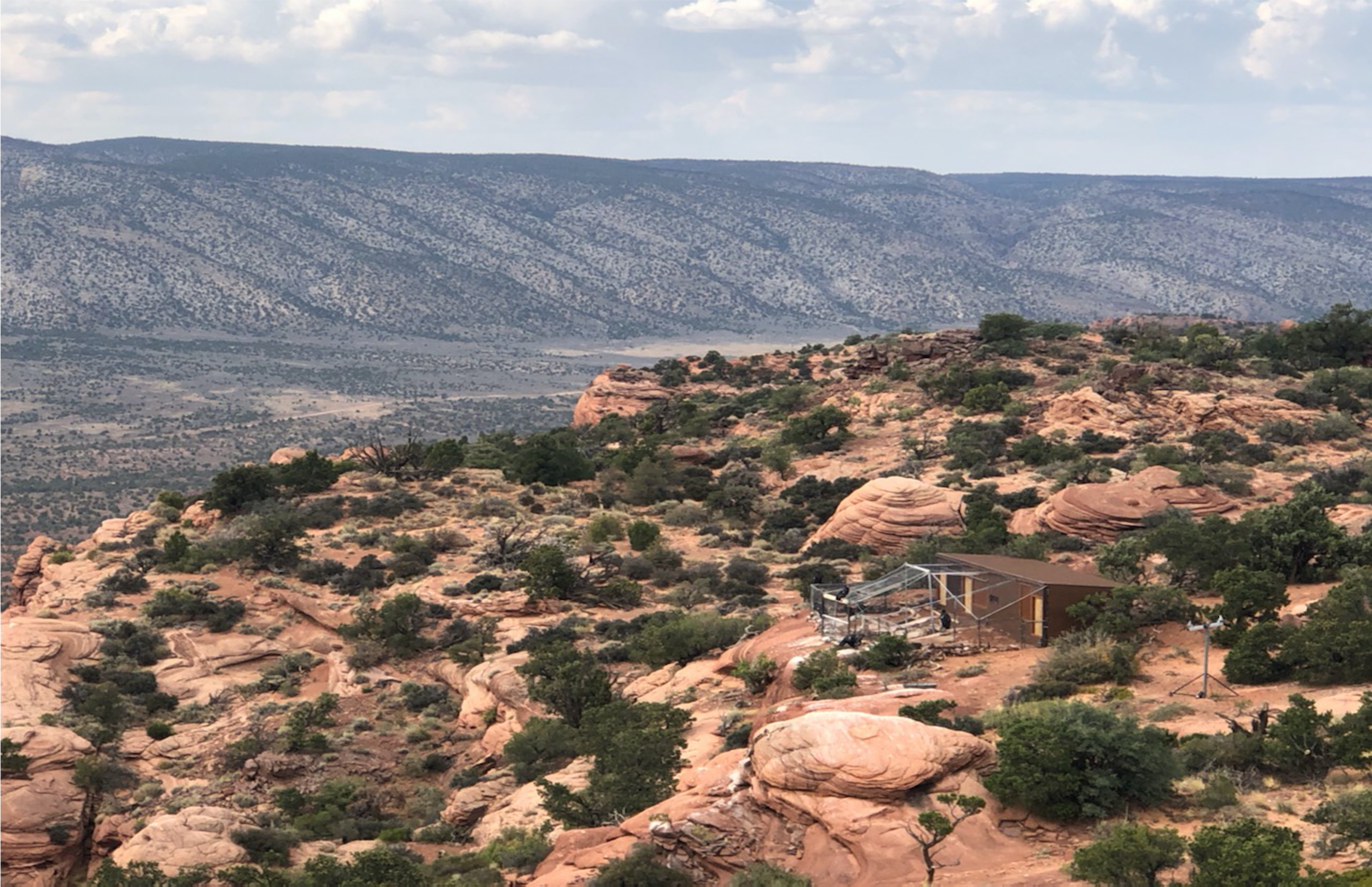 The condor facility at Vermilion Cliffs National Monument