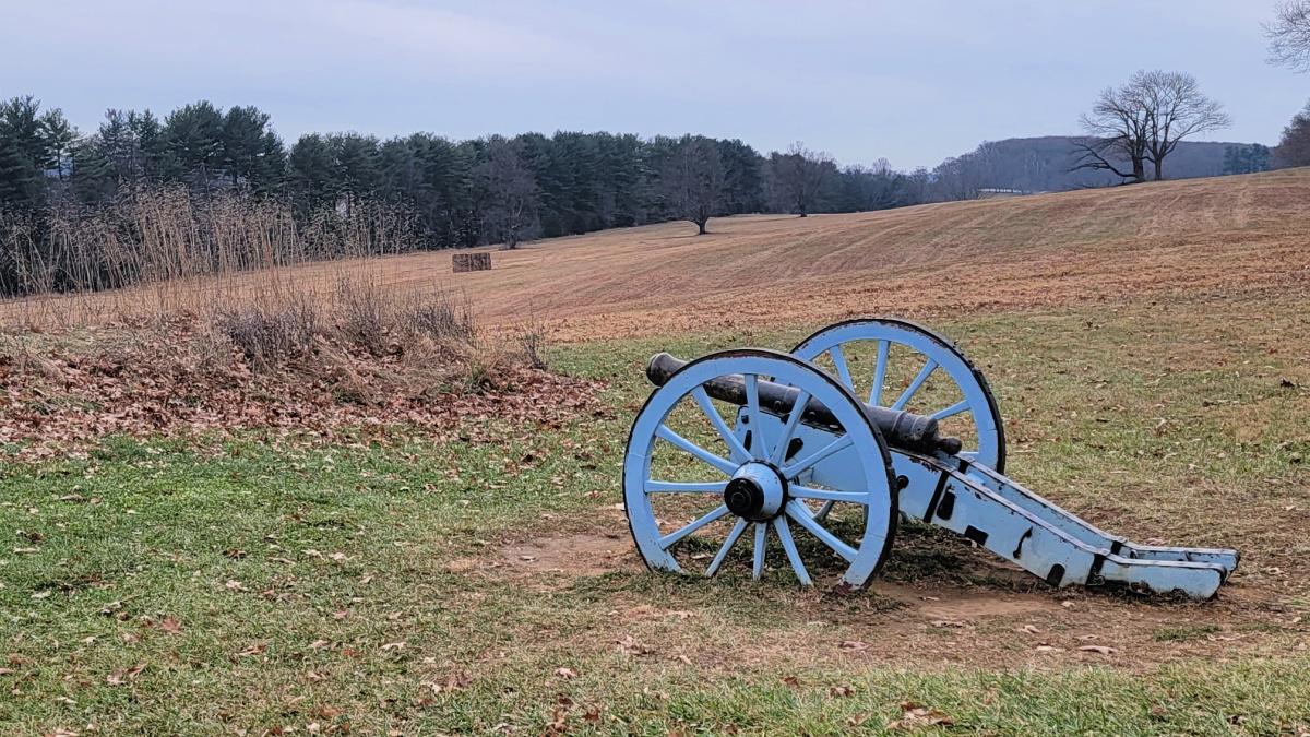 Cannon at Valley Forge