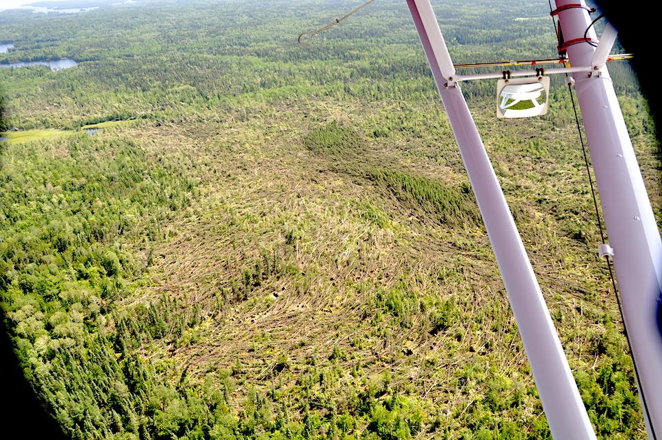 A tornado left a 2.5-mile path of downed trees in Voyageurs National Park in July/NPS